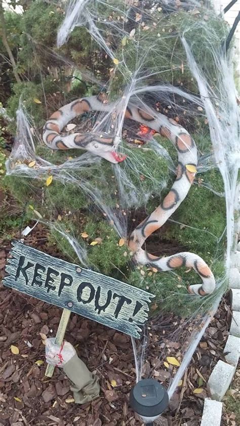 Wildlife rehab workers untangle snake caught in Halloween spiderweb decoration at home in Miami Shores